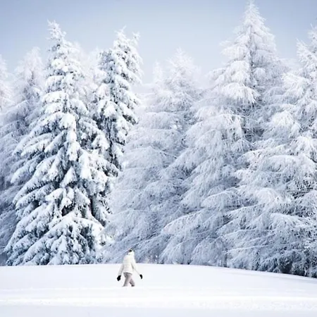 - Fabulous 2-bedroomed Flat Apartament Crans-Montana