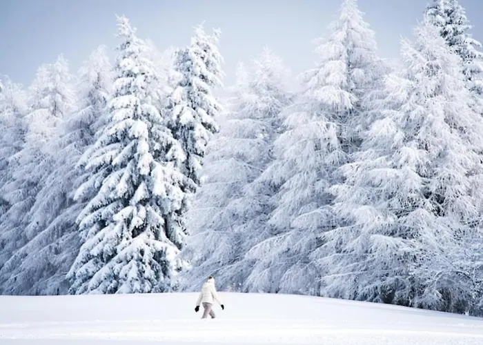 - Fabulous 2-bedroomed Flat アパート クラン