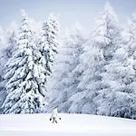 - Fabulous 2-bedroomed Flat Appartement Crans-Montana